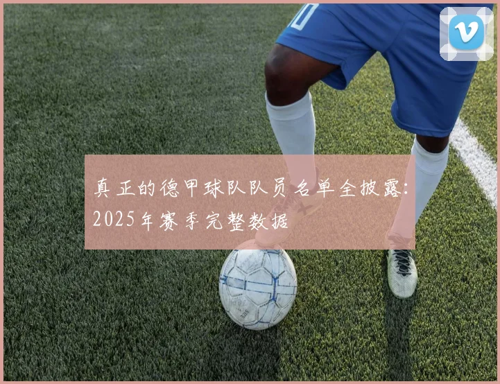 真正的德甲球队队员名单全披露：2025年赛季完整数据