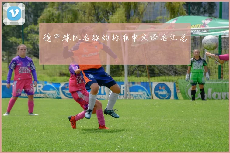 德甲球队名称的标准中文译名汇总