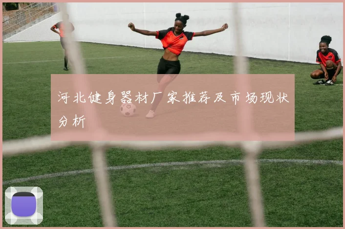 河北健身器材厂家推荐及市场现状分析