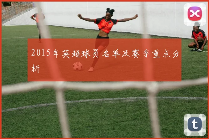 2015年英超球员名单及赛季重点分析