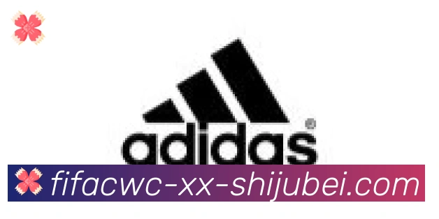 世界杯直播合作伙伴